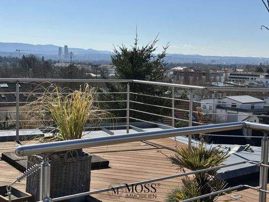 Terrassen Impression Mit Basel Roche-Towers