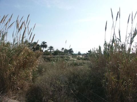 La Marina del Pinet Grundstücke, La Marina del Pinet Grundstück kaufen