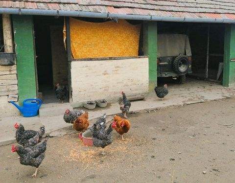 Somogy Komitat Häuser, Somogy Komitat Haus kaufen