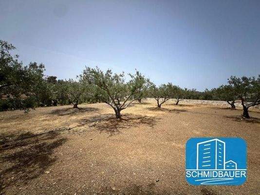 Kreta, Sivas: Moderne Villa umgeben von Olivenbäumen zum Verkauf