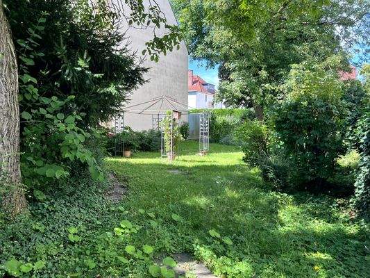 Blumenauer (c) - Titelbild