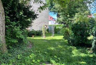 Blumenauer (c) - Titelbild