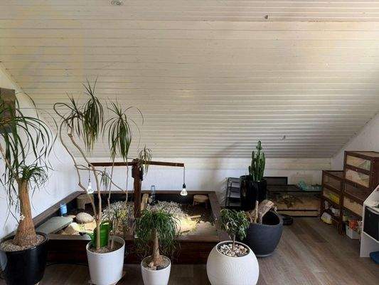 Wohnung DG Arbeitszimmer 