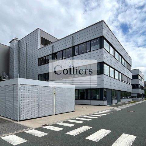 Nürnberg Büros, Büroräume, Büroflächen 