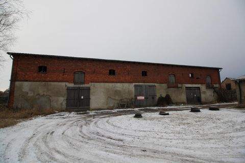 Prenzlau Halle, Prenzlau Hallenfläche