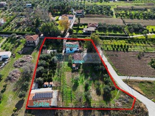 69390377bad648be87619415816f3724-original