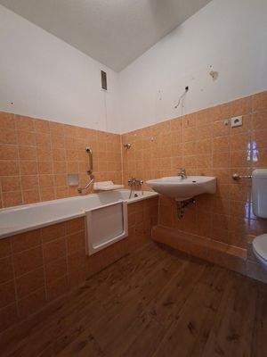 Badezimmer mit Wannentür