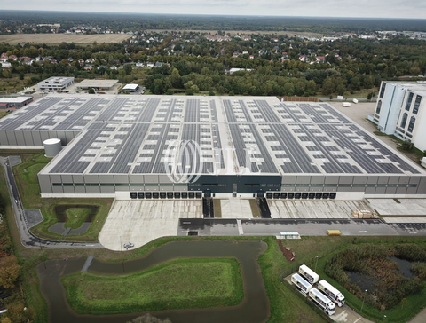 Falkensee Halle, Falkensee Hallenfläche