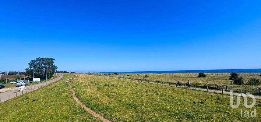 05 Deich und Naturstrand