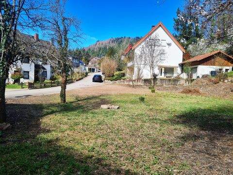 Badenweiler Grundstücke, Badenweiler Grundstück kaufen