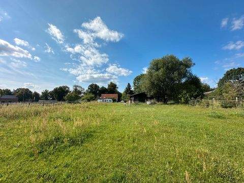 Golßen Häuser, Golßen Haus kaufen