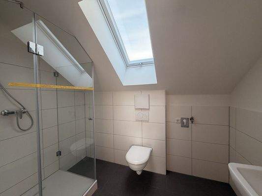 Das moderne Tageslicht-Badezimmer