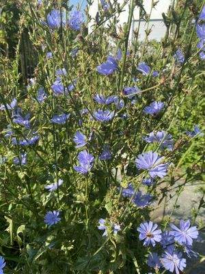 20250810 082252612 iOS