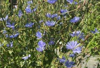 20250810 082252612 iOS