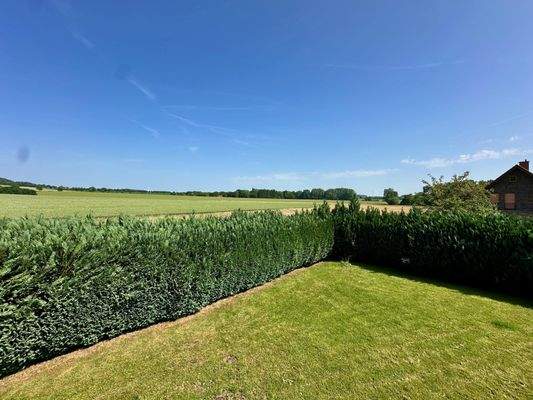 Fernblick vom Garten