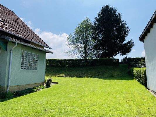 Blick in den Garten