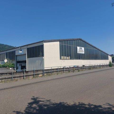 Trier Halle, Trier Hallenfläche