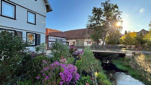 Ein kleiner Vorgarten