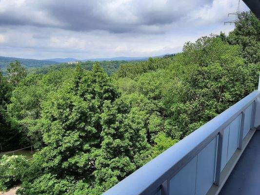 Aussicht vom Balkon