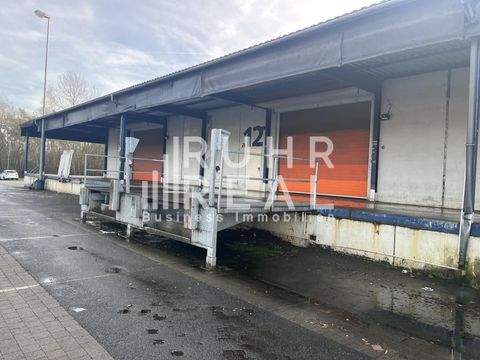 Dortmund Halle, Dortmund Hallenfläche