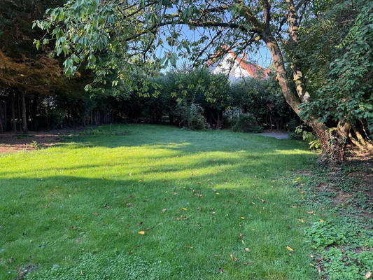 5cadbe1f-e870-4262-8ff6-08591a7dbbd9-1961357367