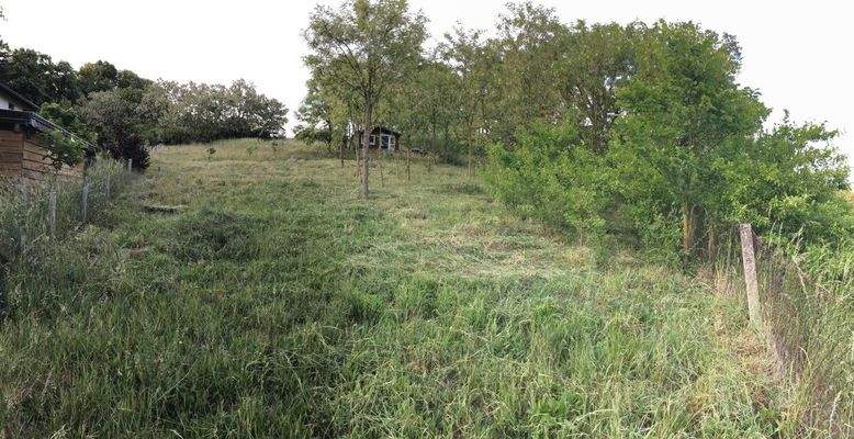 Blick über das Grundstück nach Norden
