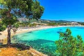 Palmanova Gastronomie, Pacht, Gaststätten