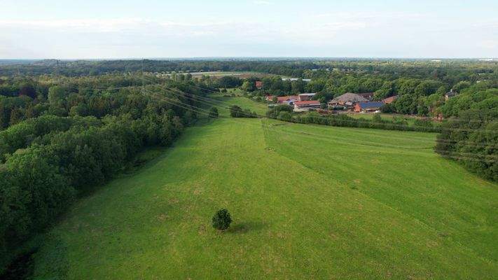 Blick auf das Gut Wulfsdorf.jpg