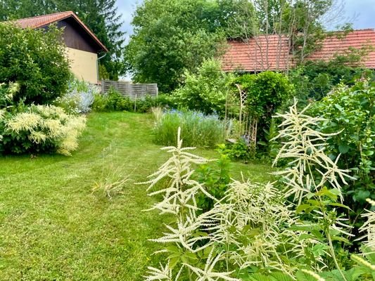 Gartenimpressionen