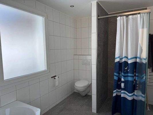 Badezimmer mit WC/ Duschbereich