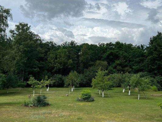 6e77f664-fa48-4b37-a6c7-f0c90c9da838-1655371355