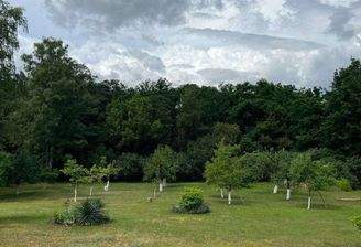 6e77f664-fa48-4b37-a6c7-f0c90c9da838-1655371355