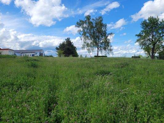 Ausblick Richtung Nord 2