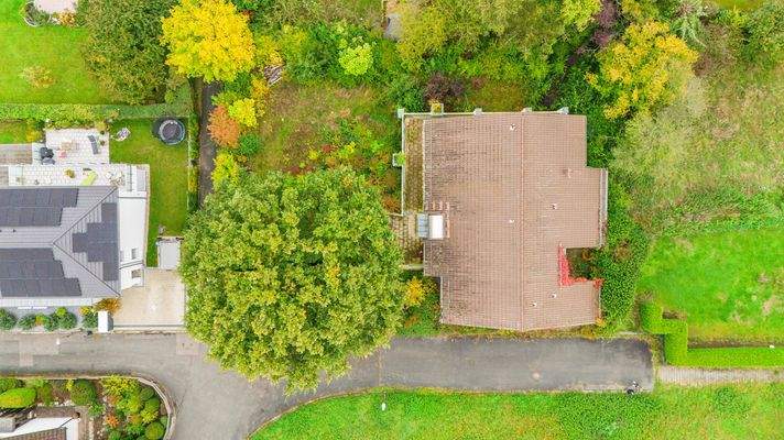 Draufsicht mit Bestand