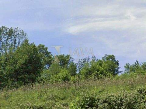 Klana Bauernhöfe, Landwirtschaft, Klana Forstwirtschaft