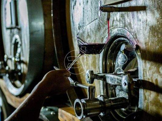 Luxus Anwesen | Civitella in Val di Chiana