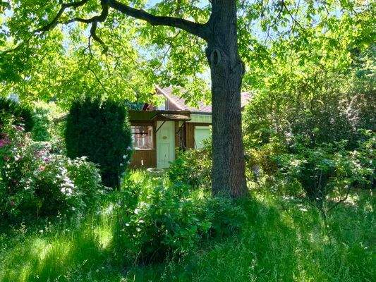 Gewachsener Baumbestand