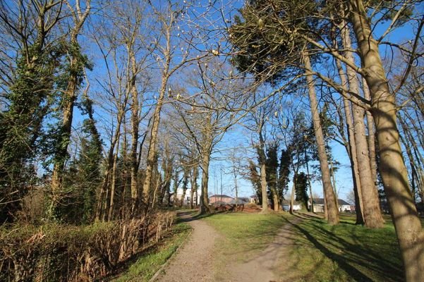Bild 17