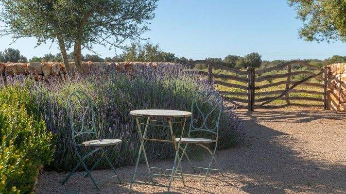 a7ce6cf1-6293-4fb2-bc0f-a95b753a0873