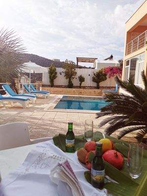 Gartenblick zum Pool