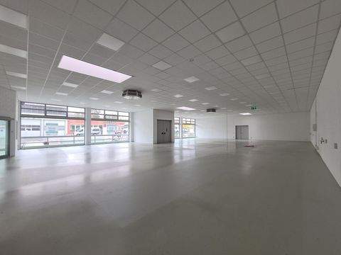 Würzburg Halle, Würzburg Hallenfläche