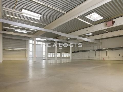 Leinfelden-Echterdingen Halle, Leinfelden-Echterdingen Hallenfläche