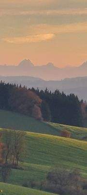 LeBa Blick auf Golfplatz und Watzmann.jpg