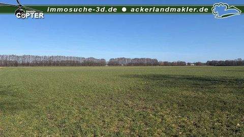 Ziegendorf Bauernhöfe, Landwirtschaft, Ziegendorf Forstwirtschaft