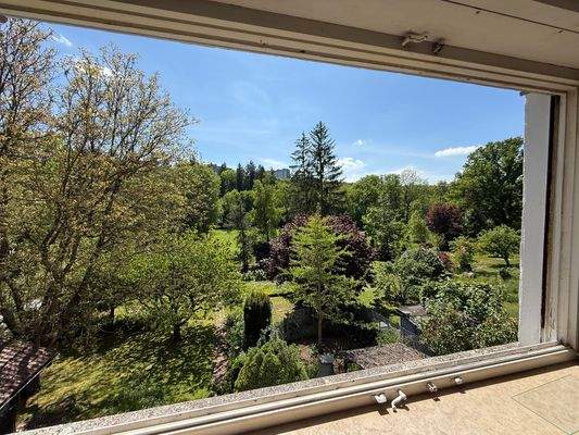 Blick in den Garten