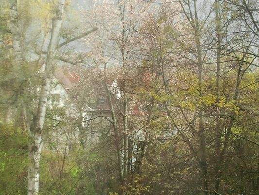 Blick vom Wohnzimmer