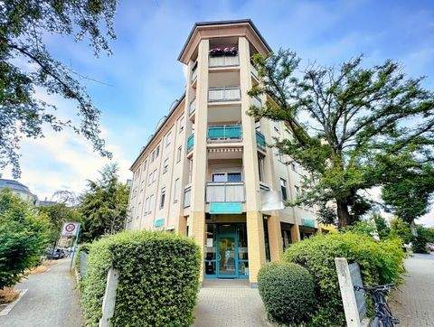 Dresden Ladenlokale, Ladenflächen 