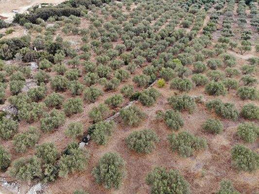 Kreta, Agios Vasilis: Erstklassiges Baugrundstück zum Verkauf mit Meer- und Bergblick