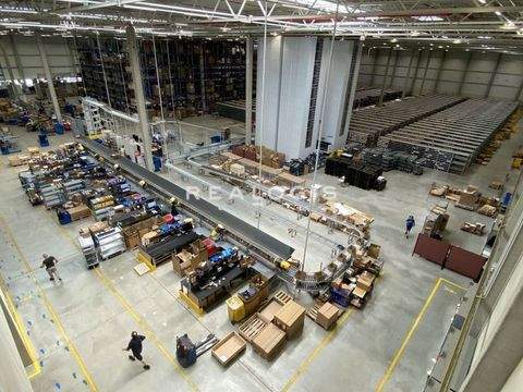 Kehl Halle, Kehl Hallenfläche