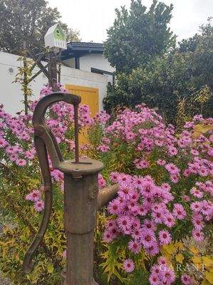 Vom Garten zur Garage